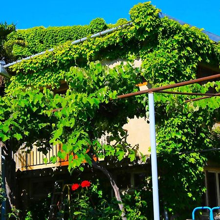 Guest House Green Veranda มซเคทา ภายนอก รูปภาพ