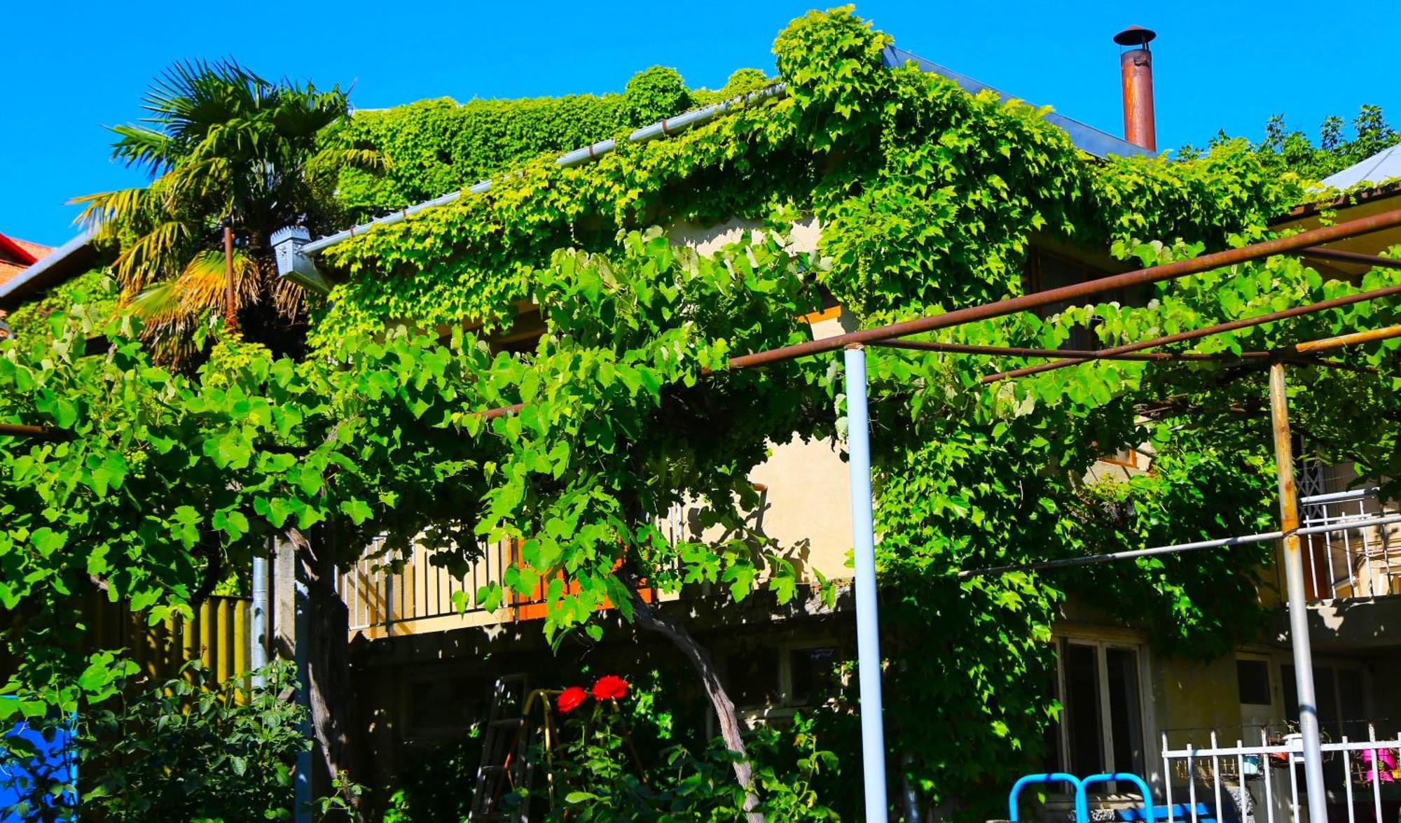 Guest House Green Veranda มซเคทา ภายนอก รูปภาพ