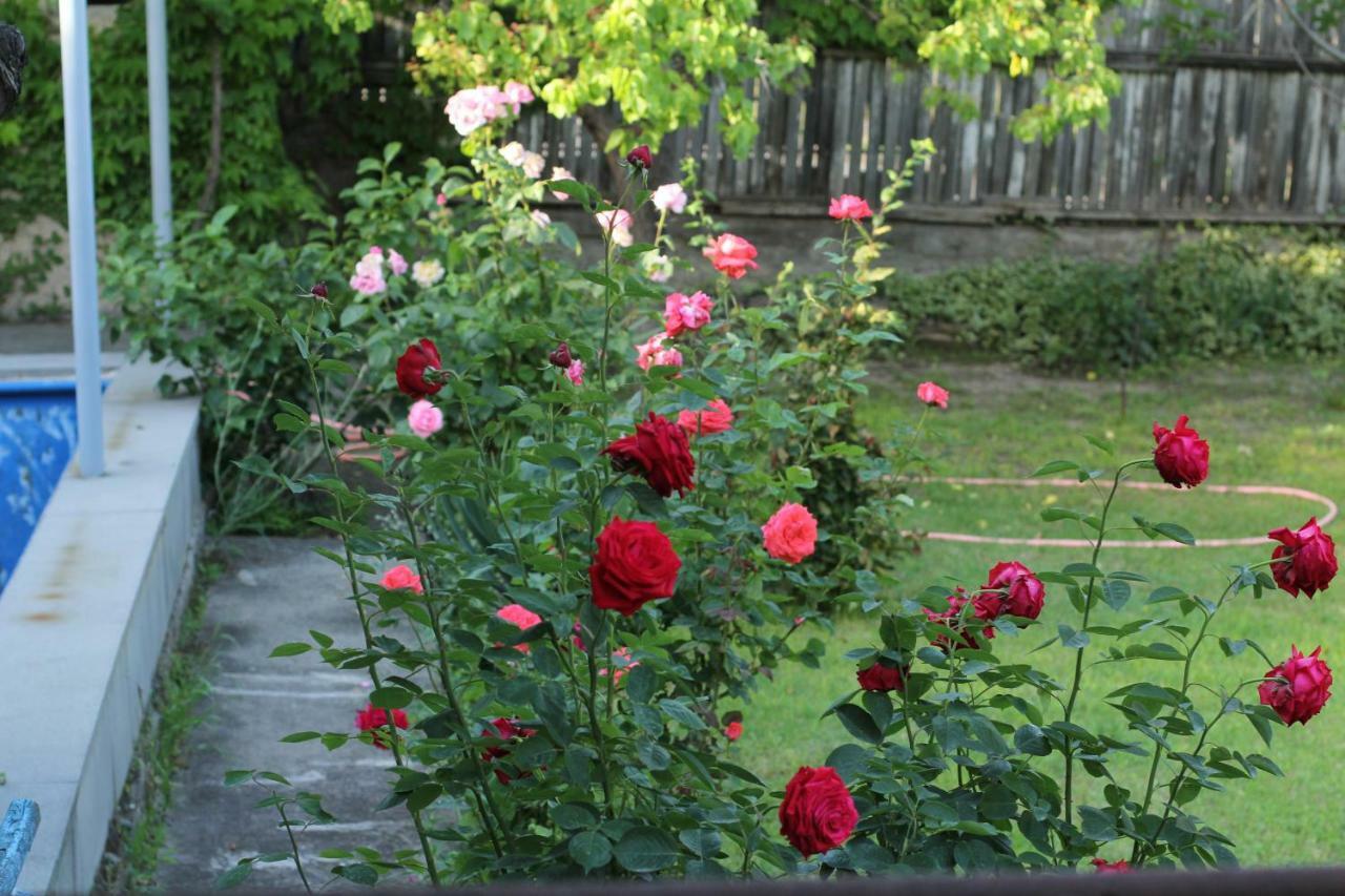 Guest House Green Veranda มซเคทา ภายนอก รูปภาพ